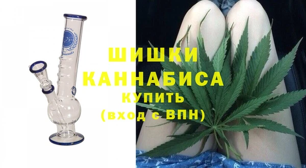 ПСИЛОЦИБИНОВЫЕ ГРИБЫ Медвежьегорск