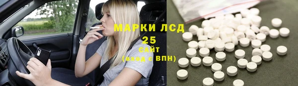 индика Медногорск