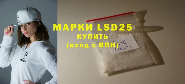 индика Медногорск