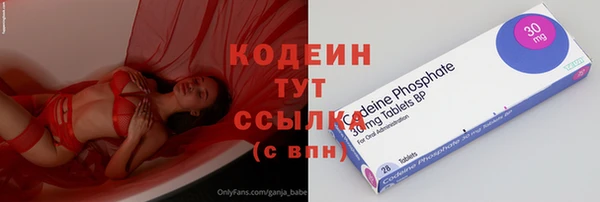индика Медногорск