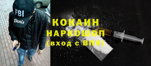 индика Медногорск