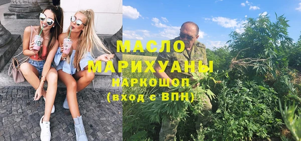 индика Медногорск