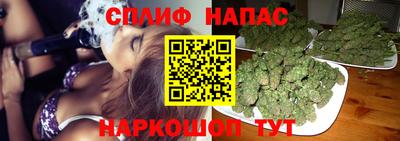 прущие грибы Абинск