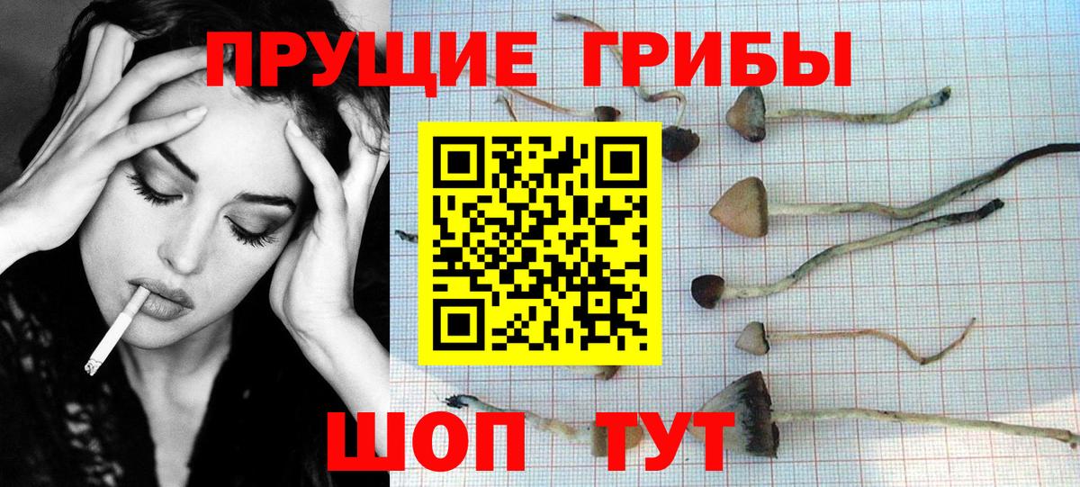 Невинномысск  Псилоцибиновые грибы Magic Shrooms  Галлюциногенные грибы мухоморы  Вход с VPN 