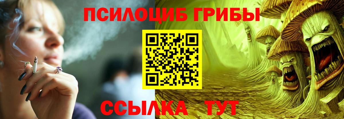 Псилоцибиновые грибы мицелий Невинномысск